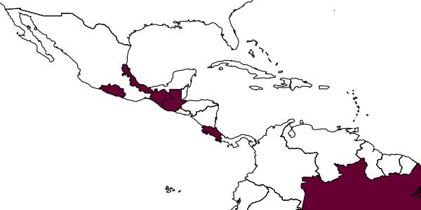 map of Mischocyttarus atramentarius     Zikán, 1949